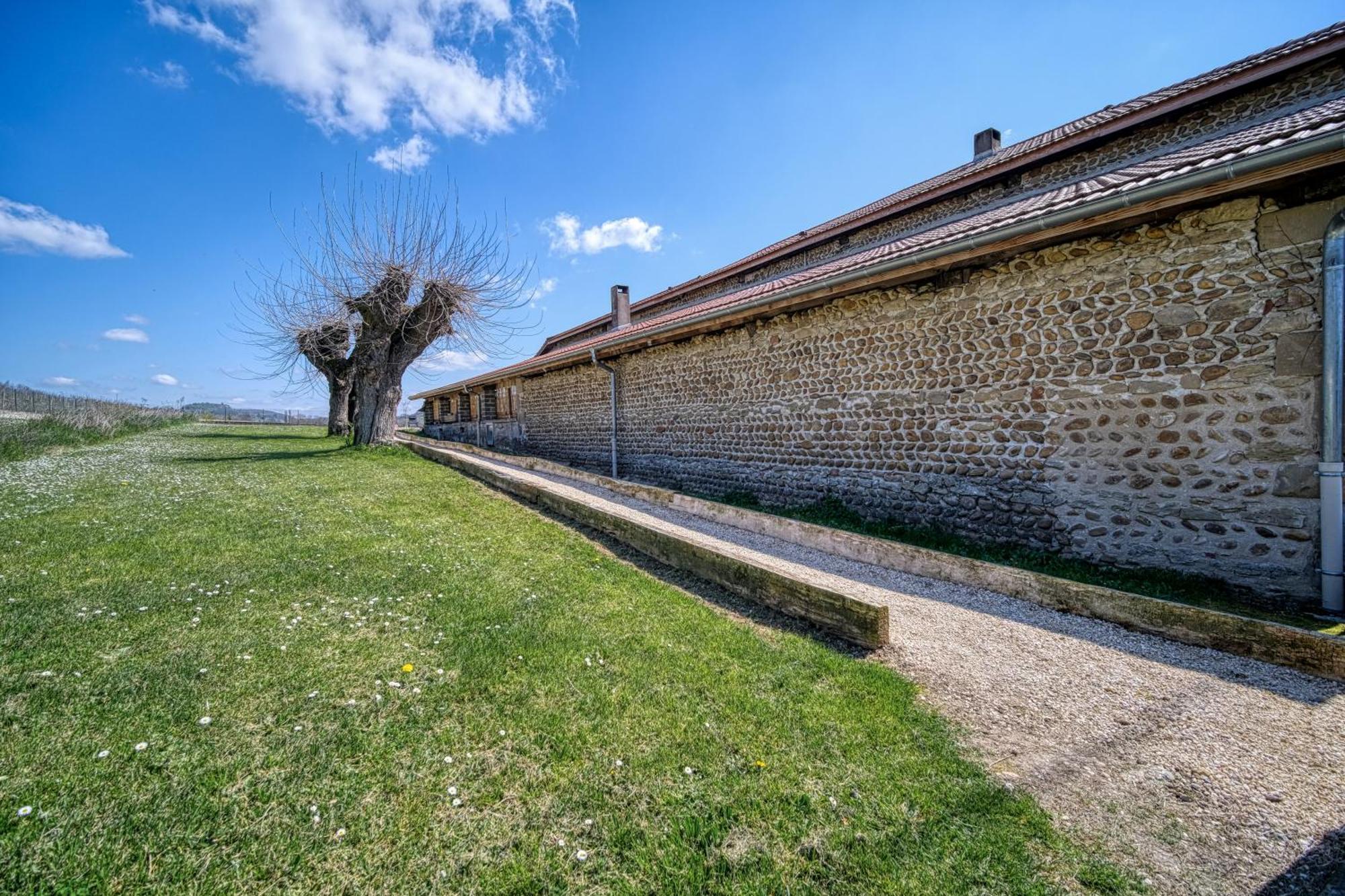 Maison Michonieres - Gite 3 Etoiles - 8 Personnes Miribel  Exteriör bild